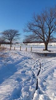 140209_1555~01.jpg