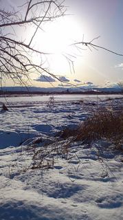 140209_1555~02.jpg