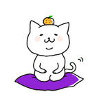 funa猫正月.jpg